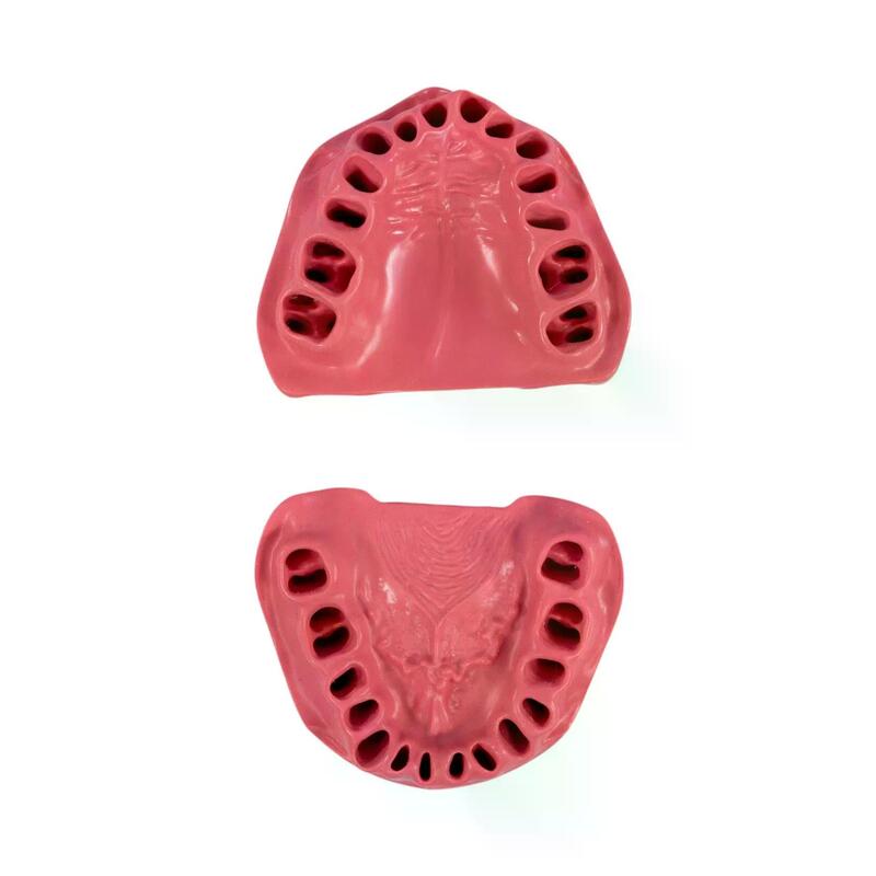 Сменные десны для стоматологической модели PD-M ORT — купить в МЕДСЕТ