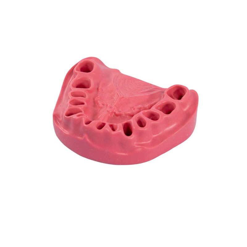 Сменные десны для стоматологической модели PD-M ORT — купить в МЕДСЕТ