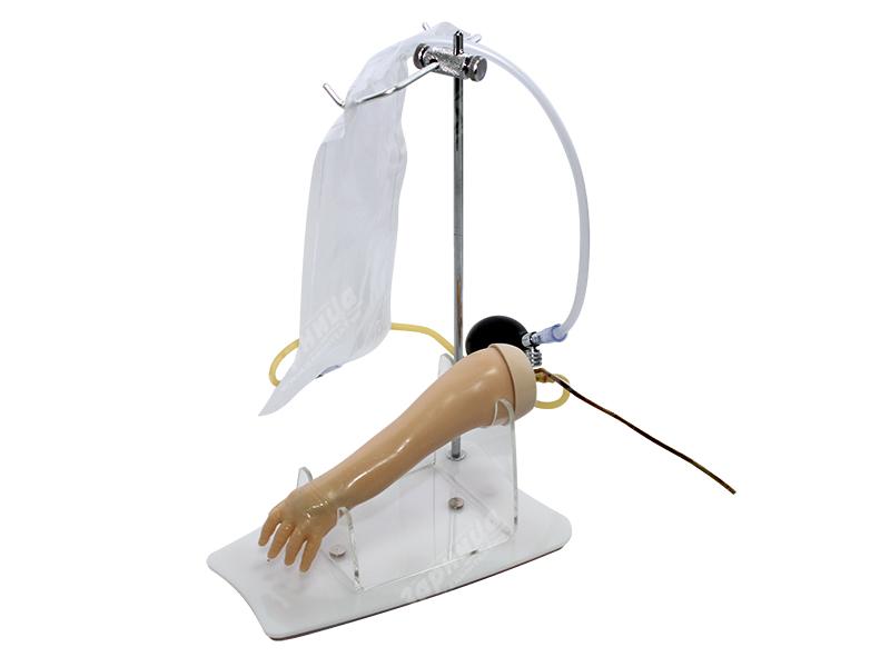Модель верхней конечности новорожденного для освоения техники внутривенных инъекций — купить в МЕДСЕТ