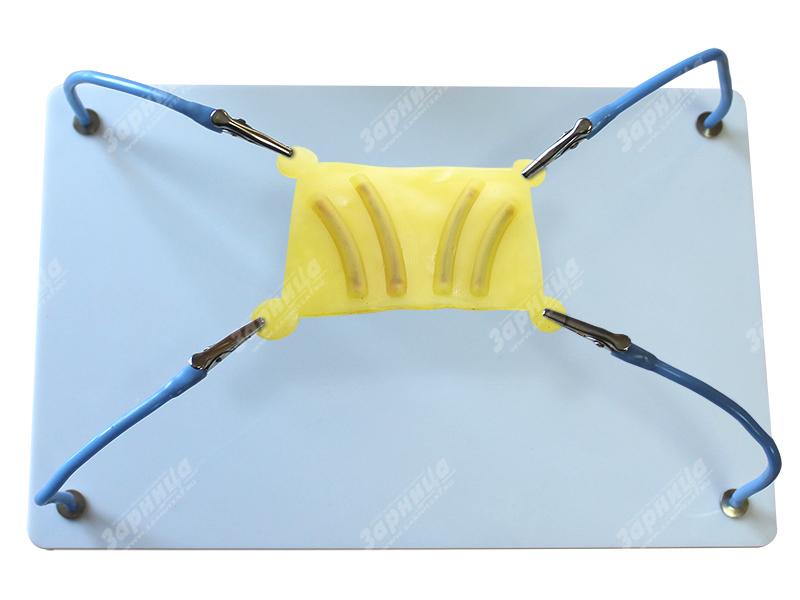 Пособие для отработки навыков лапароскопии "клипирование сосудов" — купить в МЕДСЕТ