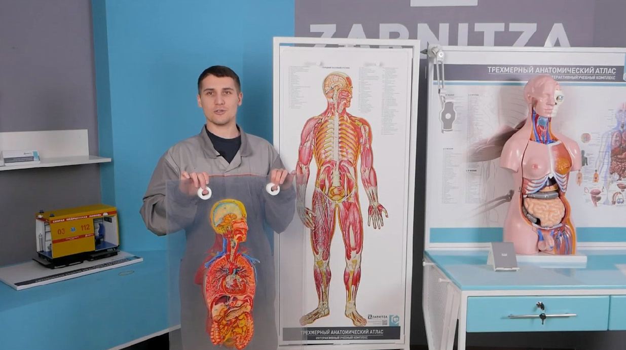 Трехмерный анатомический атлас. Приказ 838 Минпросвещения РФ — купить в МЕДСЕТ