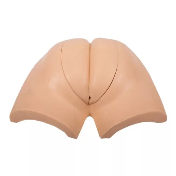 Модель для постановки клизмы (37) — купить в МЕДСЕТ