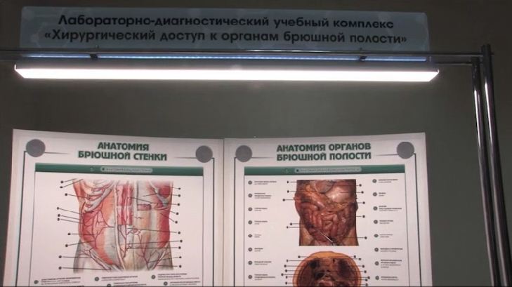 Лабораторно-диагностический учебный комплекс "Хирургический доступ к органам брюшной полости" — купить в МЕДСЕТ