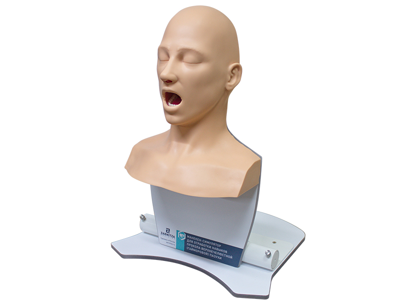 Тренажер для отработки навыков прокалывания гайморовой пазухи — купить в МЕДСЕТ