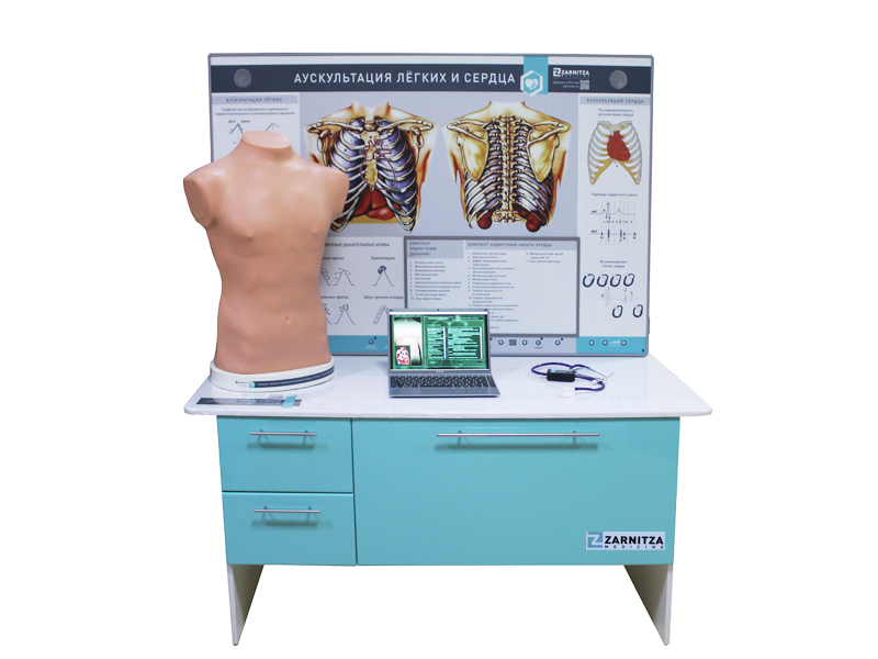 Тренажер базовых навыков аускультации сердца и легких с интерактивной доской — купить в МЕДСЕТ