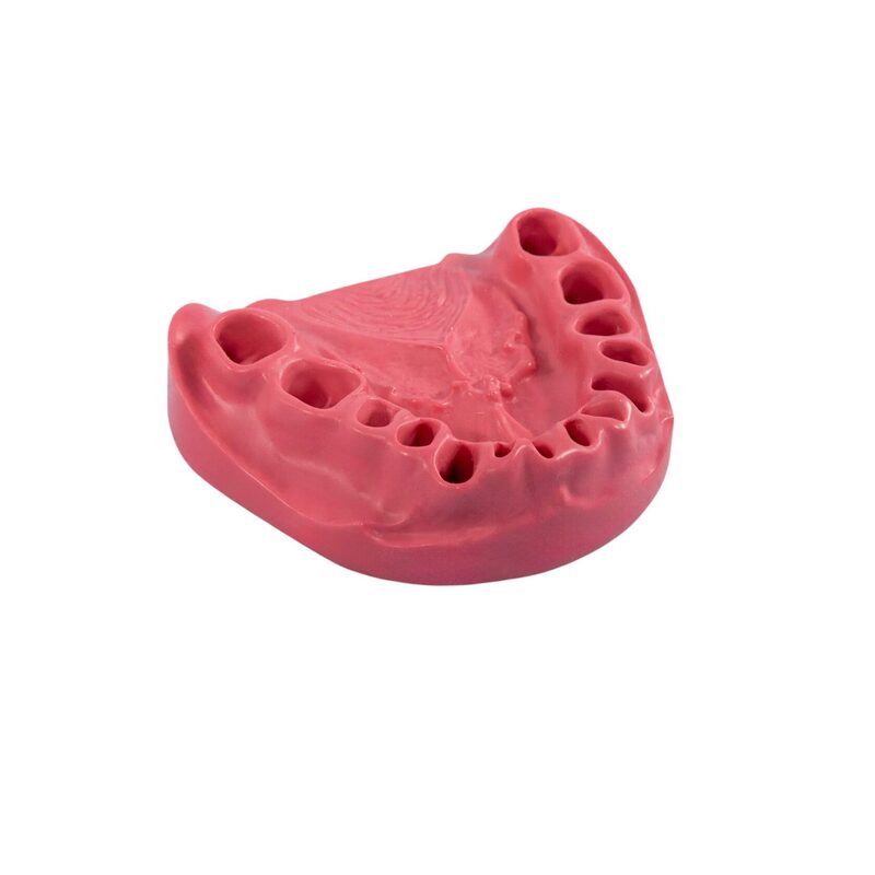 Сменные десны для стоматологической модели PD-M ORT — купить в МЕДСЕТ