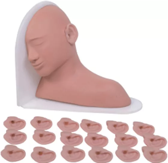 Модель для обследования при заболеваниях уха (LV16) — купить в МЕДСЕТ