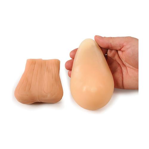 Тренажёр ТГЭ/КГЭ (трансмиссивная губкообразная энцефалопатия/губкообразная энцефалопатия у подростков, светлая кожа — купить в МЕДСЕТ