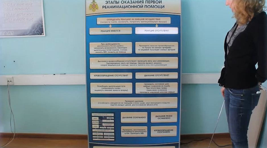 Электрифицированный стенд-тренажер "Этапы оказания первой реанимационной помощи" — купить в МЕДСЕТ