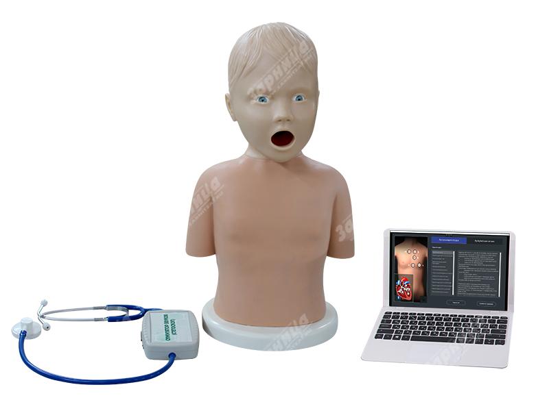 Симулятор с возможностью имитации аускультативной картины заболеваний сердца и лёгких у детей — купить в МЕДСЕТ