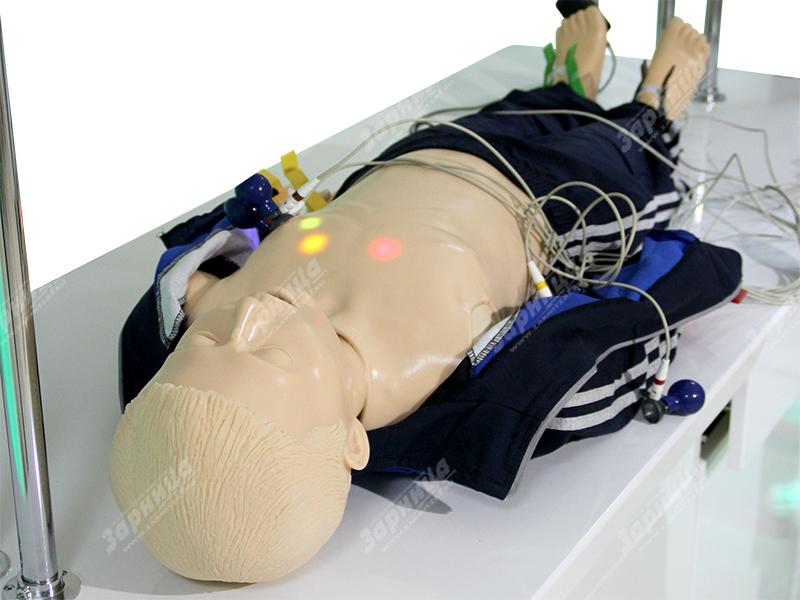 Лабораторно-диагностический учебный комплекс "Сердечно-сосудистая система" — купить в МЕДСЕТ