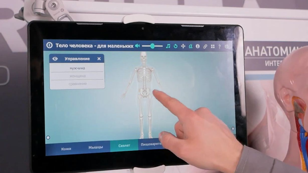 Трехмерный анатомический атлас. Приказ 838 Минпросвещения РФ — купить в МЕДСЕТ