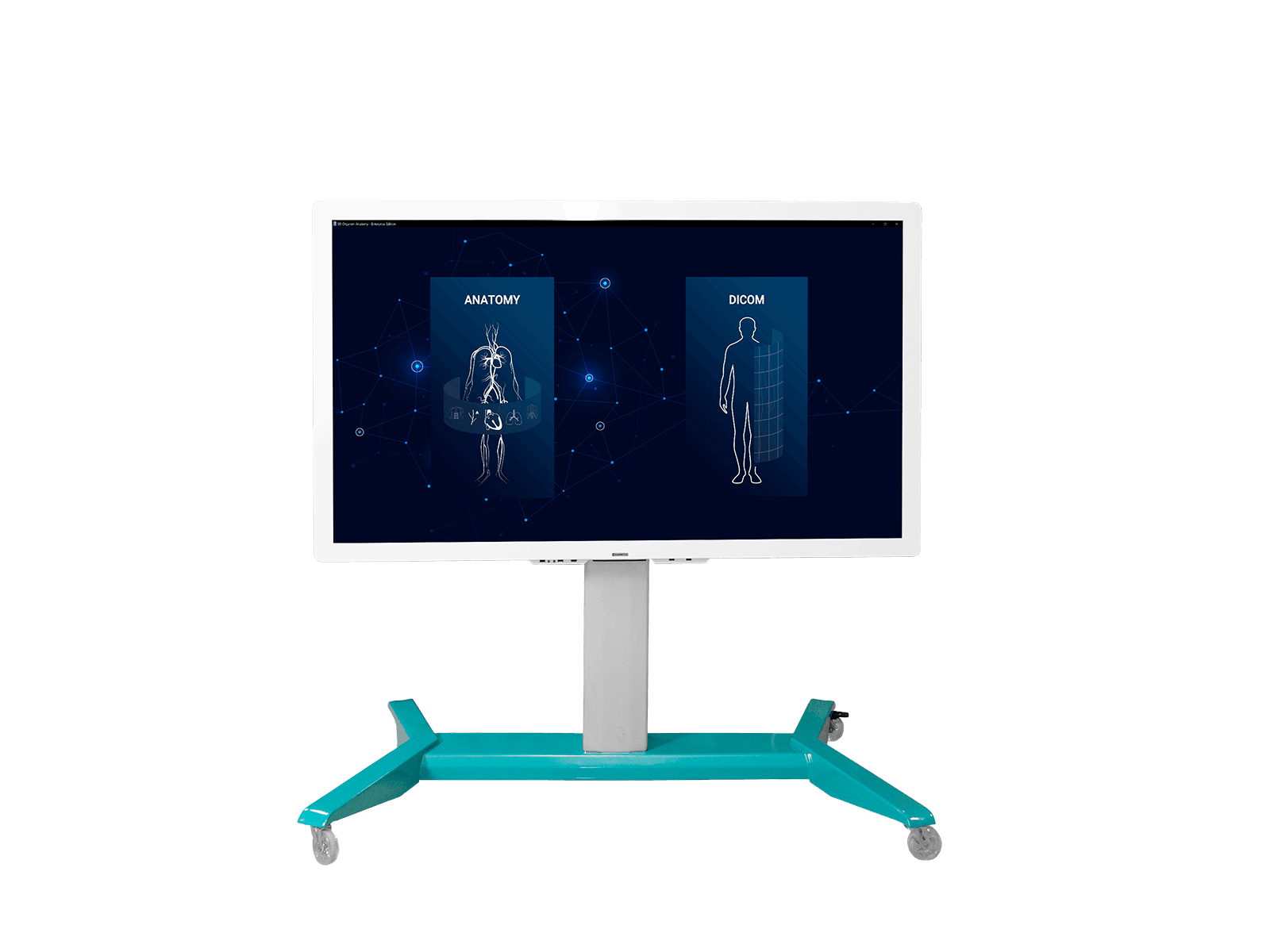 Трехмерный анатомический атлас VR. Виртуальный учебный комплекс. Приказ 838 Минпросвещения РФ — купить в МЕДСЕТ