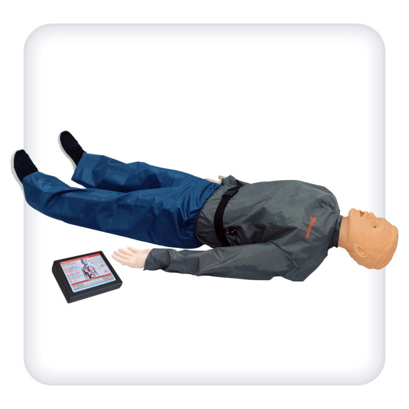 Тренажер-манекен “Роман-08” для отработки СЛР полноростовой с контроллером — купить в МЕДСЕТ