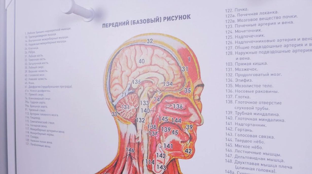 Трехмерный анатомический атлас. Приказ 838 Минпросвещения РФ — купить в МЕДСЕТ