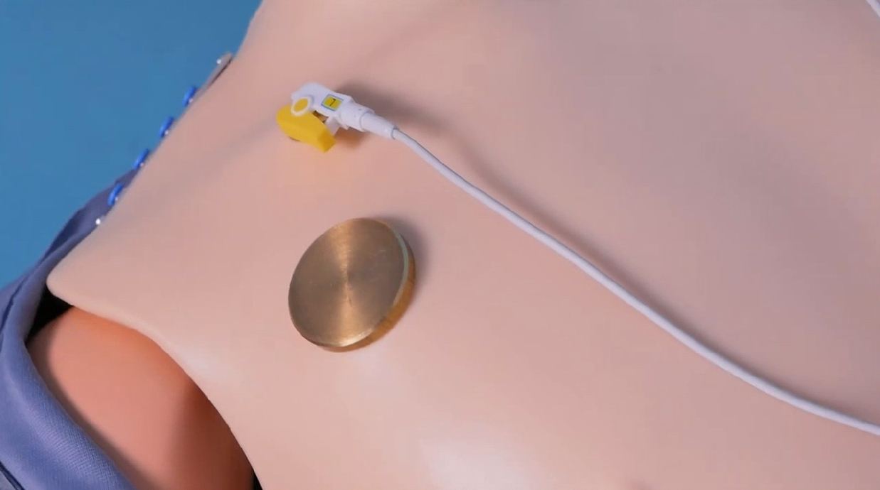 Многофункциональный робот-симулятор пациента с системой мониторинга основных жизненных показателей — купить в МЕДСЕТ