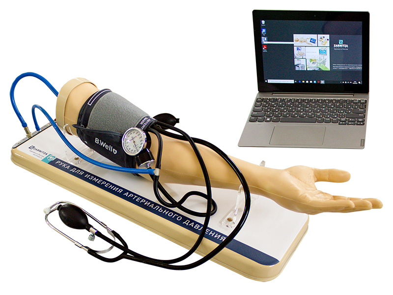 Рука для измерения артериального давления — купить в МЕДСЕТ