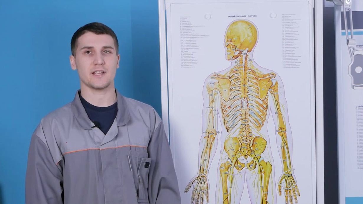 Трехмерный анатомический атлас. Приказ 838 Минпросвещения РФ — купить в МЕДСЕТ