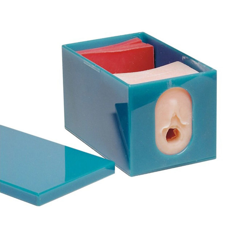 Набор из моделей для наблюдения за состоянием плода и протеканием родов — купить в МЕДСЕТ