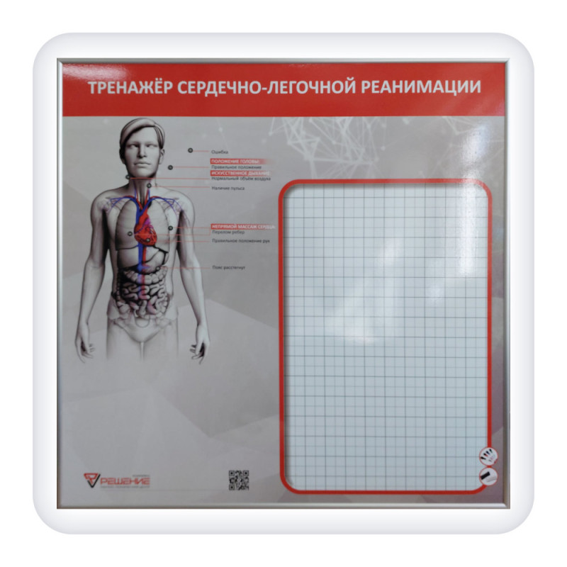 Манекен-тренажер “Роман-09” для отработки СЛР полноростовой с контроллером, настенным табло и ноутбуком — купить в МЕДСЕТ