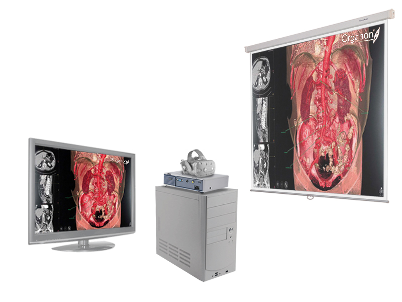 Трехмерный анатомический атлас. Виртуальный учебный комплекс. Приказ 804 Минпросвещения РФ. — купить в МЕДСЕТ