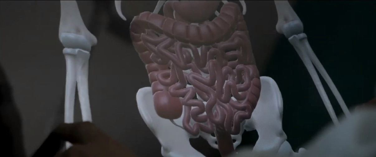 Трехмерный анатомический атлас. Виртуальный учебный комплекс. Приказ 804 Минпросвещения РФ. — купить в МЕДСЕТ