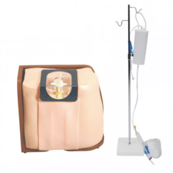 Манекен для обучения эпидуральной анестезии, люмбальной пункции (L60) — купить в МЕДСЕТ