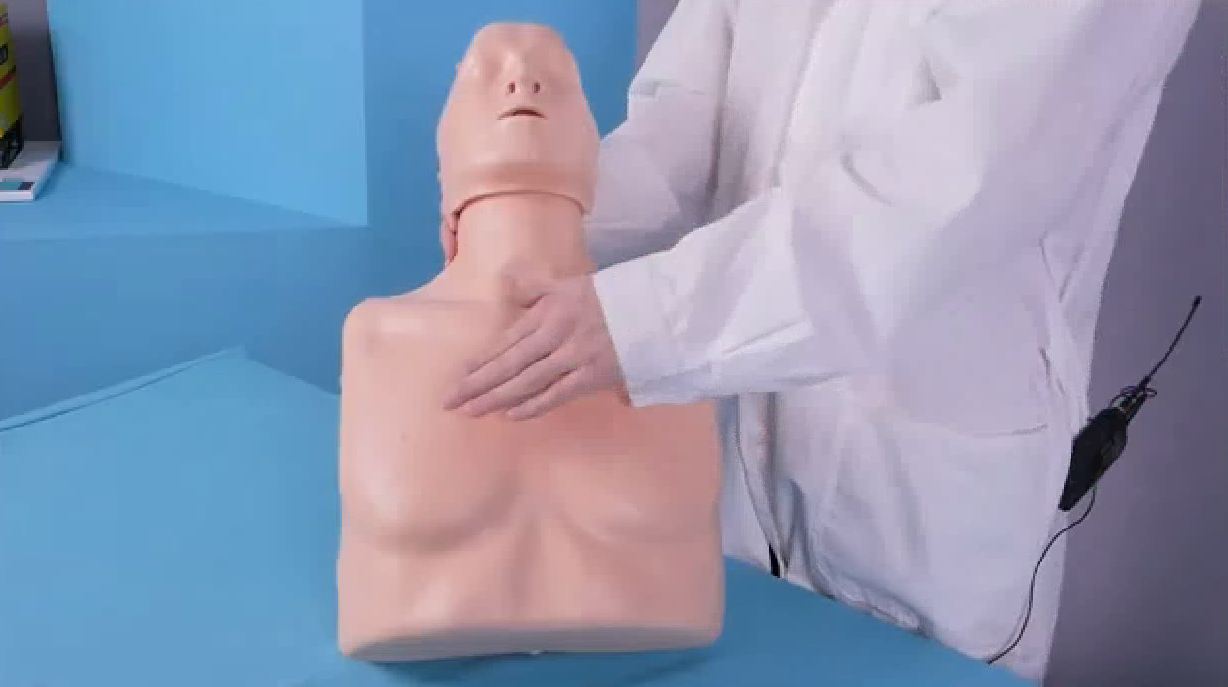 Тренажер-манекен пострадавшего для отработки приемов сердечно-легочной реанимации "ТОРС-01 СЛР" — купить в МЕДСЕТ