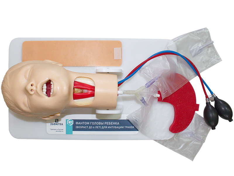 Фантом головы ребенка (возраст до 6 лет) для интубации трахеи — купить в МЕДСЕТ