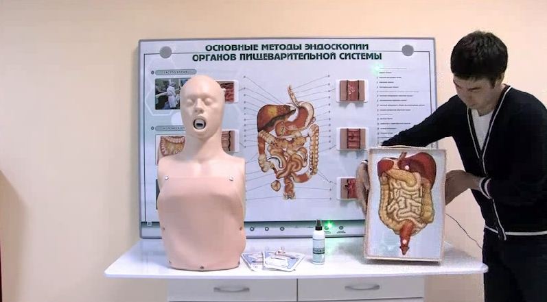 Интерактивный тренажерный комплекс для эндоскопии — купить в МЕДСЕТ