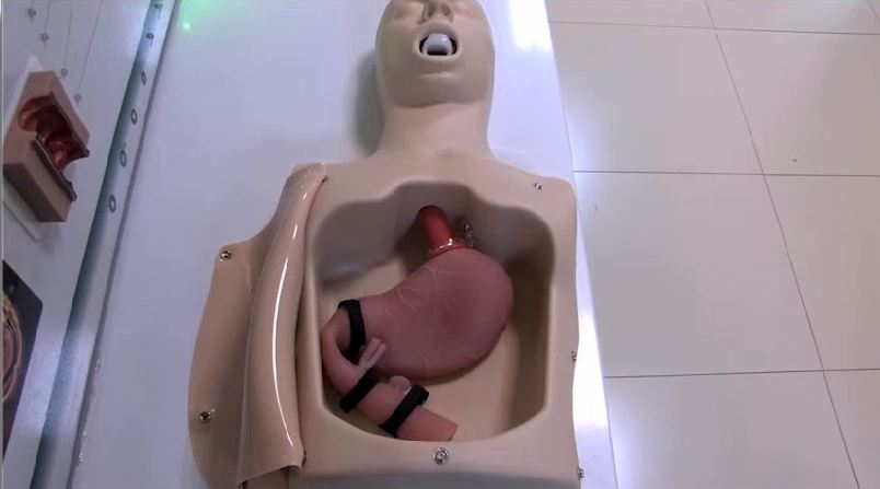 Интерактивный тренажерный комплекс для эндоскопии — купить в МЕДСЕТ