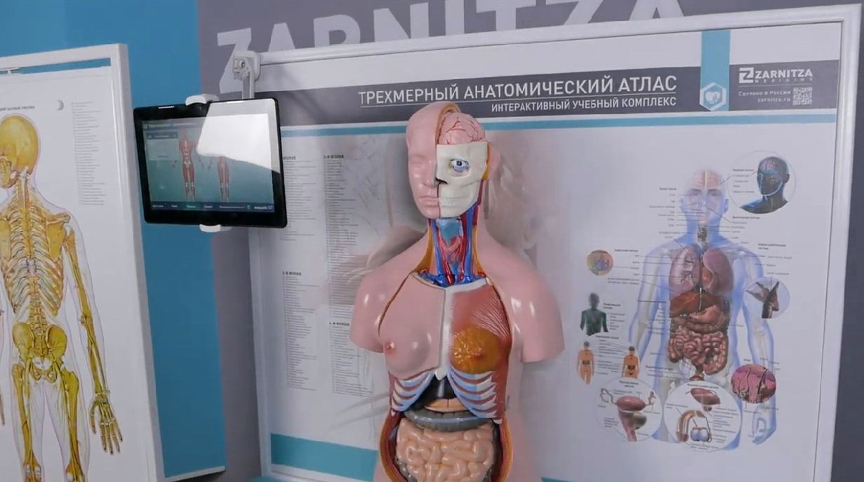 Трехмерный анатомический атлас. Приказ 838 Минпросвещения РФ — купить в МЕДСЕТ