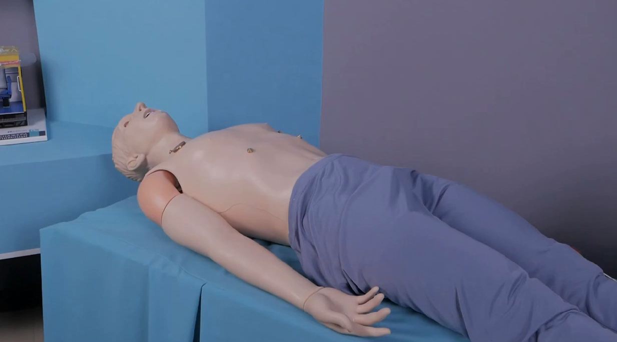 Многофункциональный робот-симулятор пациента с системой мониторинга основных жизненных показателей — купить в МЕДСЕТ