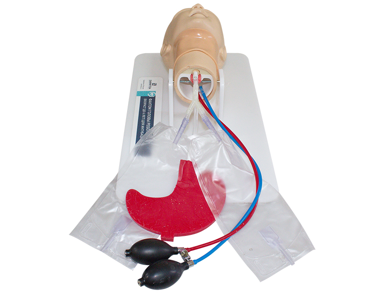 Фантом головы ребенка (возраст до 6 лет) для интубации трахеи — купить в МЕДСЕТ