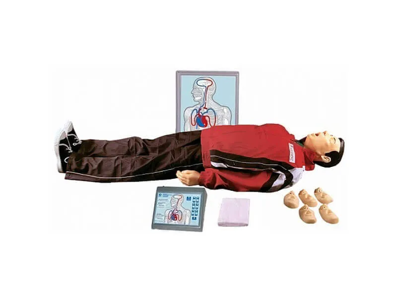 Т12 Максим III-01 тренажер СЛР с контроллером и настенным табло