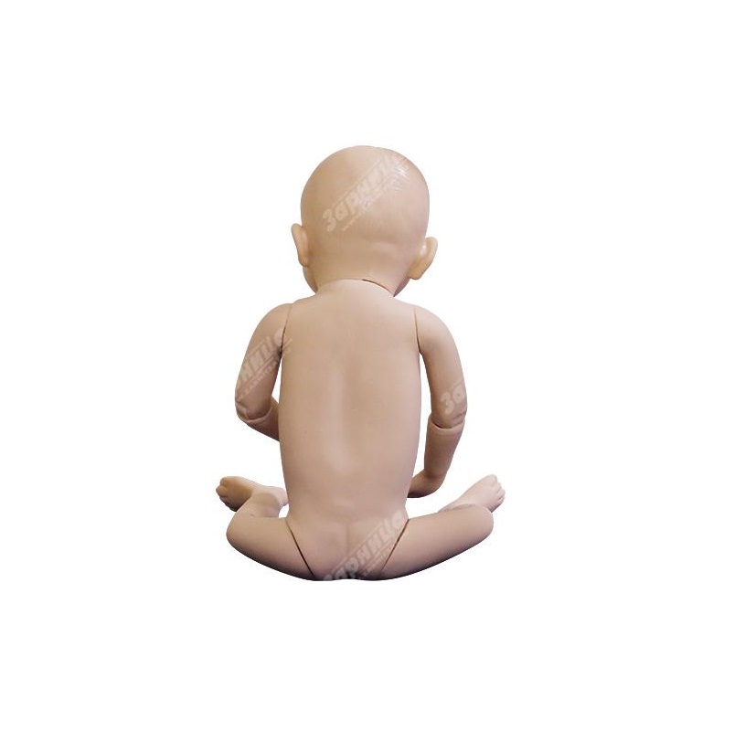 Манекен для техники проведения оздоровительного массажа и гимнастики — купить в МЕДСЕТ