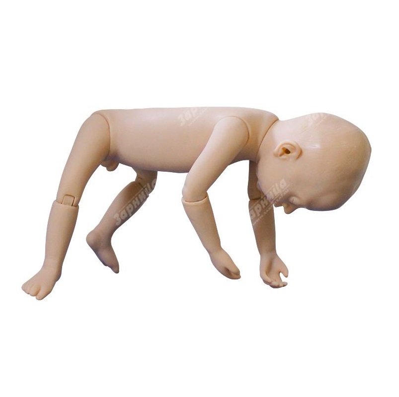 Манекен для техники проведения оздоровительного массажа и гимнастики — купить в МЕДСЕТ