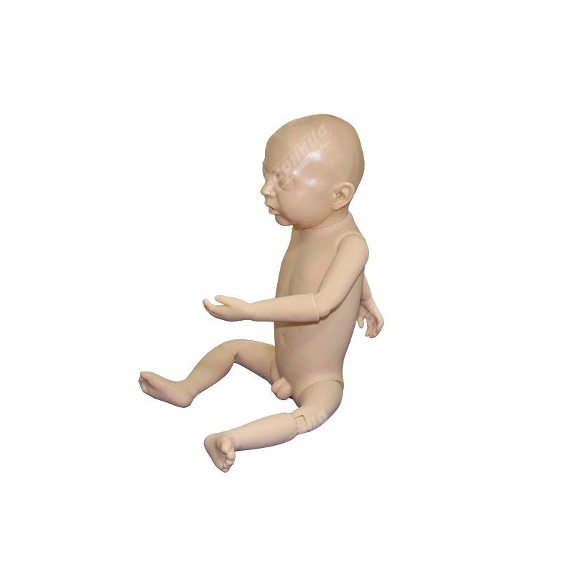 Манекен для техники проведения оздоровительного массажа и гимнастики — купить в МЕДСЕТ