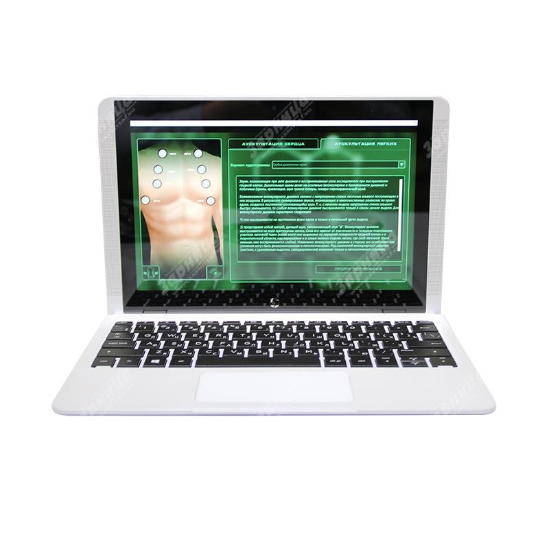 Лабораторно-диагностический учебный комплекс «Мочеполовая система» — купить в МЕДСЕТ