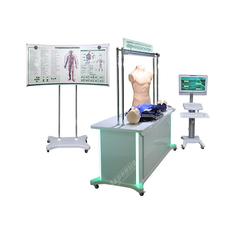 Лабораторно-диагностический учебный комплекс «Мочеполовая система» — купить в МЕДСЕТ