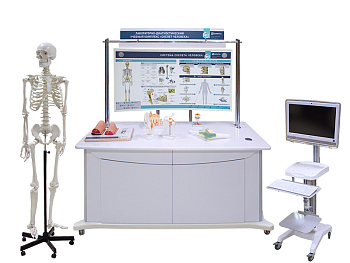 Лабораторно-диагностический учебный комплекс "Скелет человека" — фото