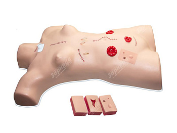 Тренажер для наложения швов и повязок — фото