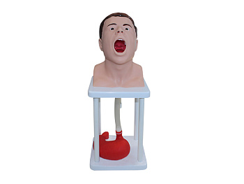 Тренажер зондирования и промывания желудка человека — фото