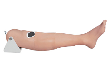 Тренажер для внутрикостных инъекций — фото