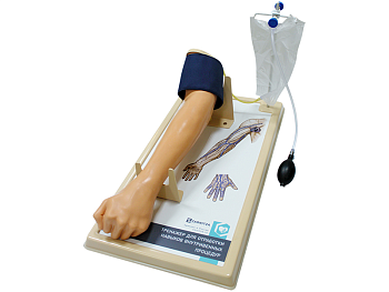 Фантом верхней конечности для внутривенной инъекции — фото