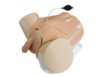 Тренажер для обучения катетеризации мочевого пузыря (женский и мужской) — фото