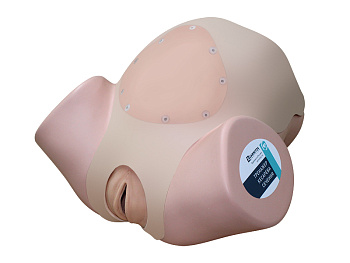 Тренажер кесарева сечения — фото