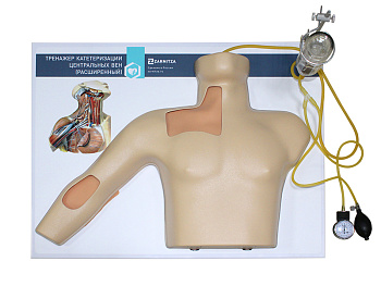 Тренажер катетеризации центральных вен — фото
