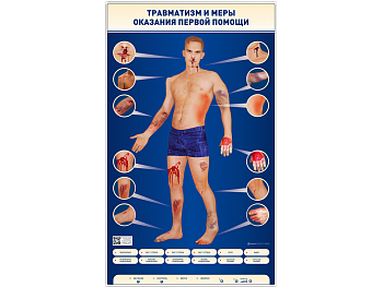 Электрифицированный стенд-тренажер "Травматизм и меры оказания первой помощи" — фото