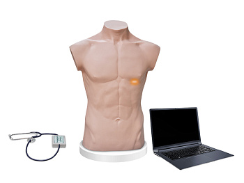 Фантом для аускультации сердца и легких — фото